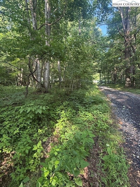 Lot 10 Billy Bob Ln, Creston, NC 28615 - photo 7