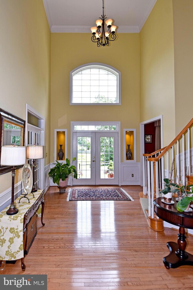 7203 White House Dr, Springfield, VA 22153 - photo 5