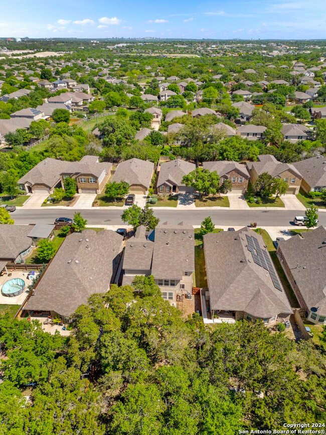 10817 Tansy Canyon, Helotes, TX 78023 - photo 6