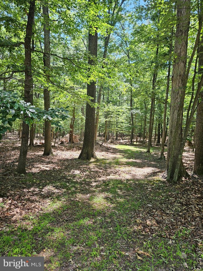 1631 Sideling Mountain Trail, Great Cacapon, WV 25422 - photo 2