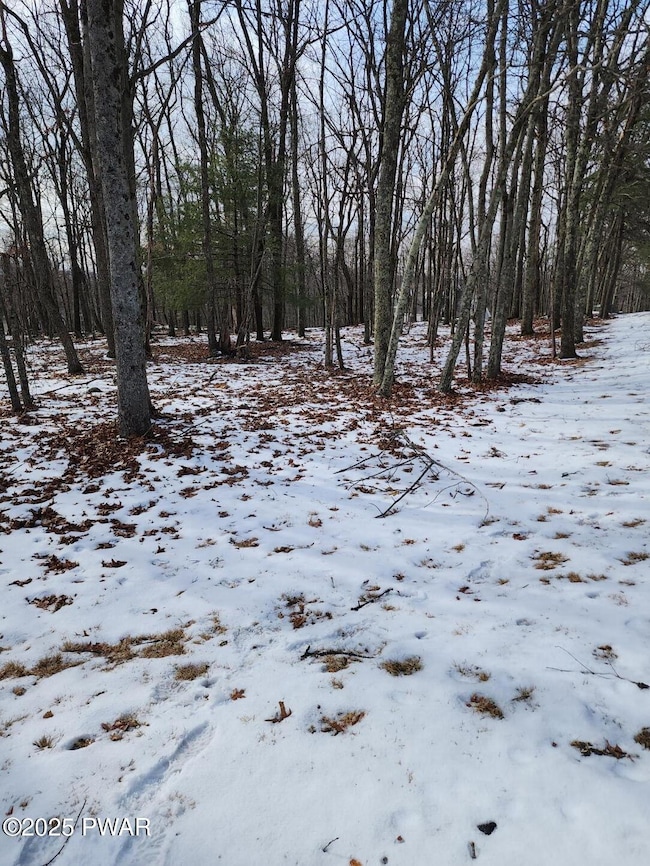 0 Pico Ln, Blooming Grove Township, PA 18464 - photo 2