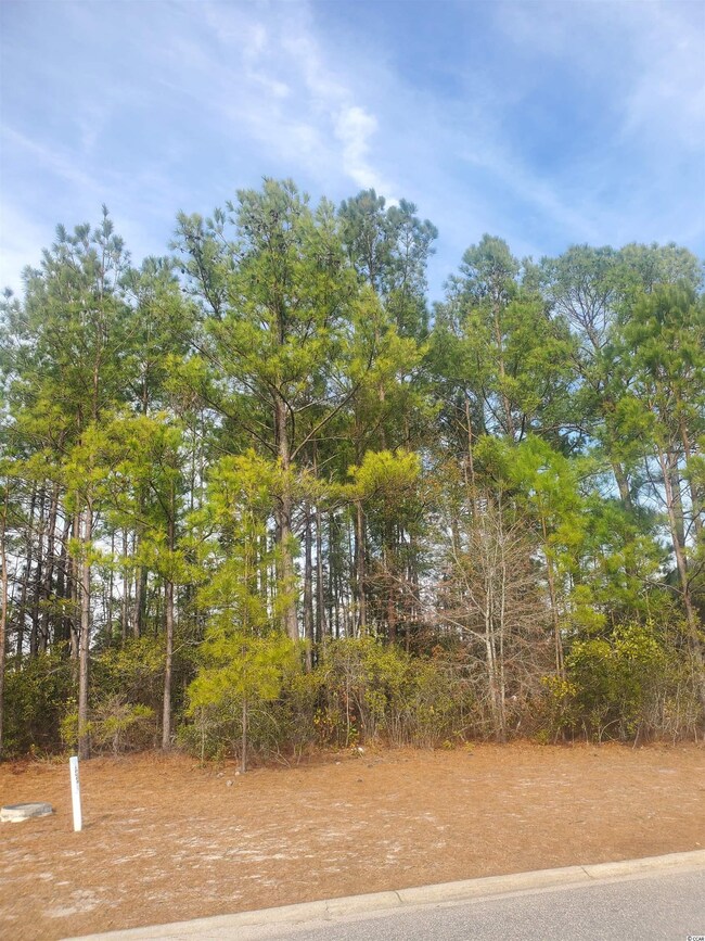 716 Chisholm Rd unit Lot 69, Myrtle Beach, SC 29579 - photo 3