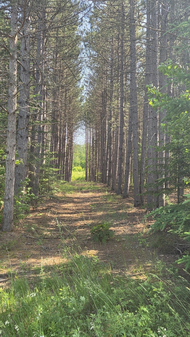 Path
