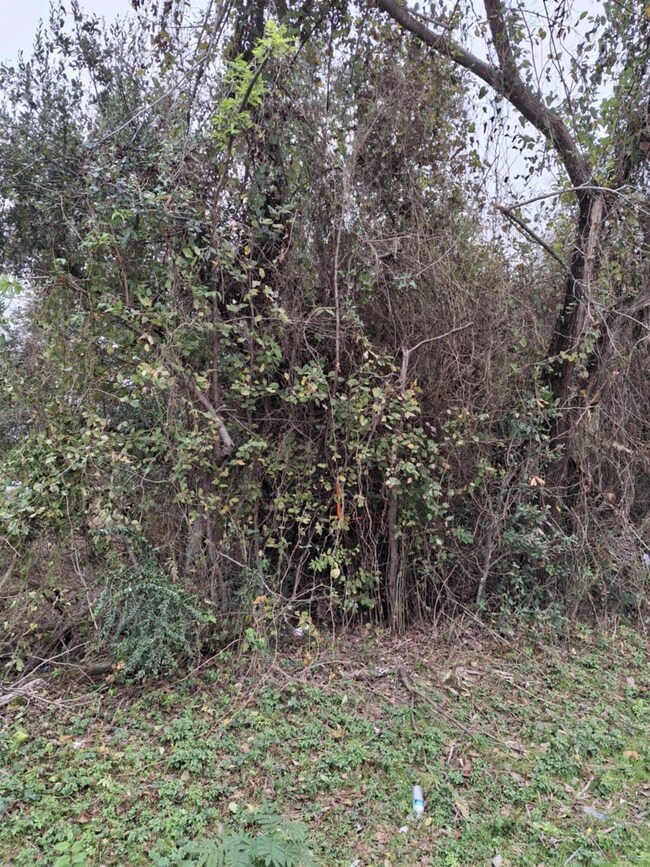 View of nature