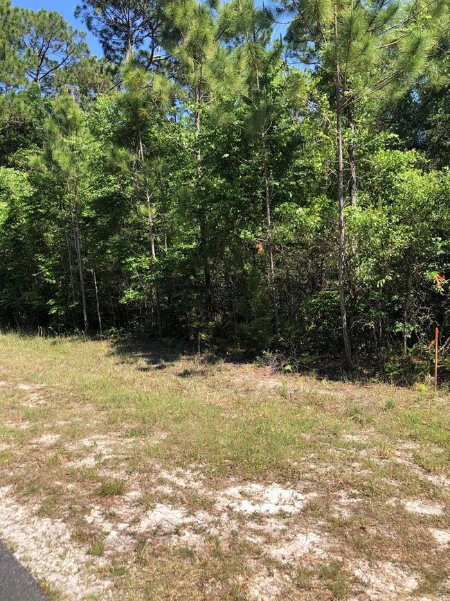 L Sugar Hill Rd, Steinhatchee, FL 32359 - photo 4