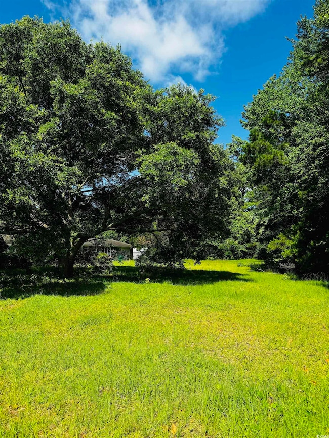 TBD S Bay St, Georgetown, SC 29440 - photo 4