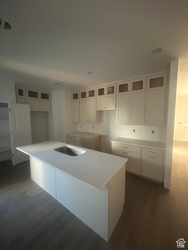 Kitchen with dark wood-type flooring, white cabinetry, a kitchen island with sink, and light stone countertops