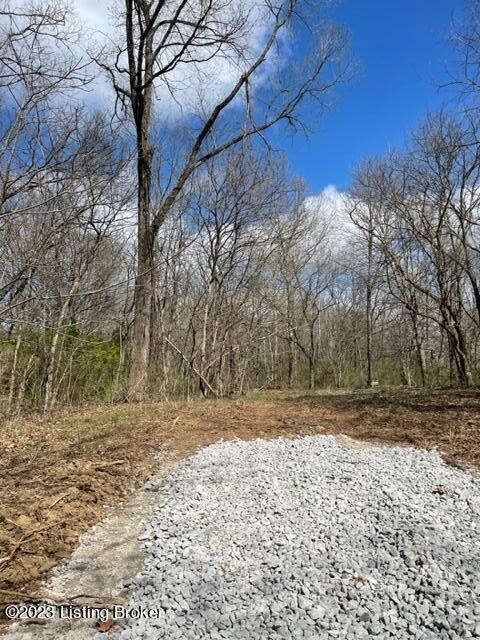 0 Sulphur Rd unit 1632435, Sulphur, KY 40070 - photo 2