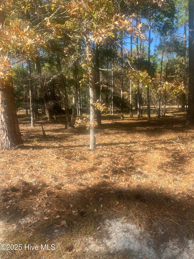 653 Antonica Place SE, Bolivia, NC 28422 - photo 6