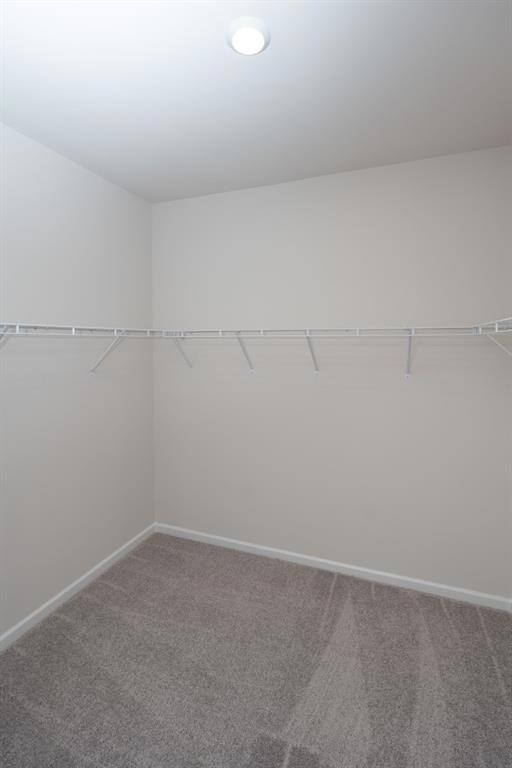 Walk in closet with carpet