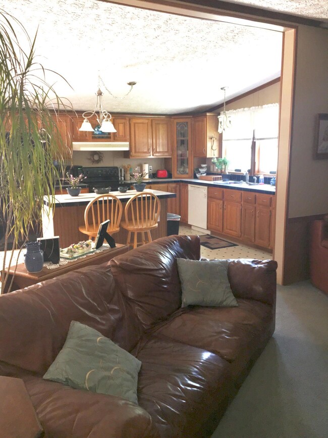 livingroom/kitchen