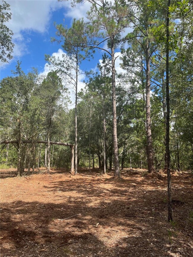 4613 Kola Rd, New Smyrna Beach, FL 32168 - photo 7