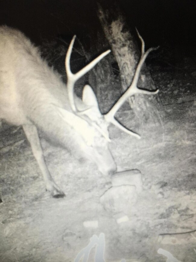 0 Forbes Rd unit 25-1253, Sangre de Cri, CO 81133 - photo 4