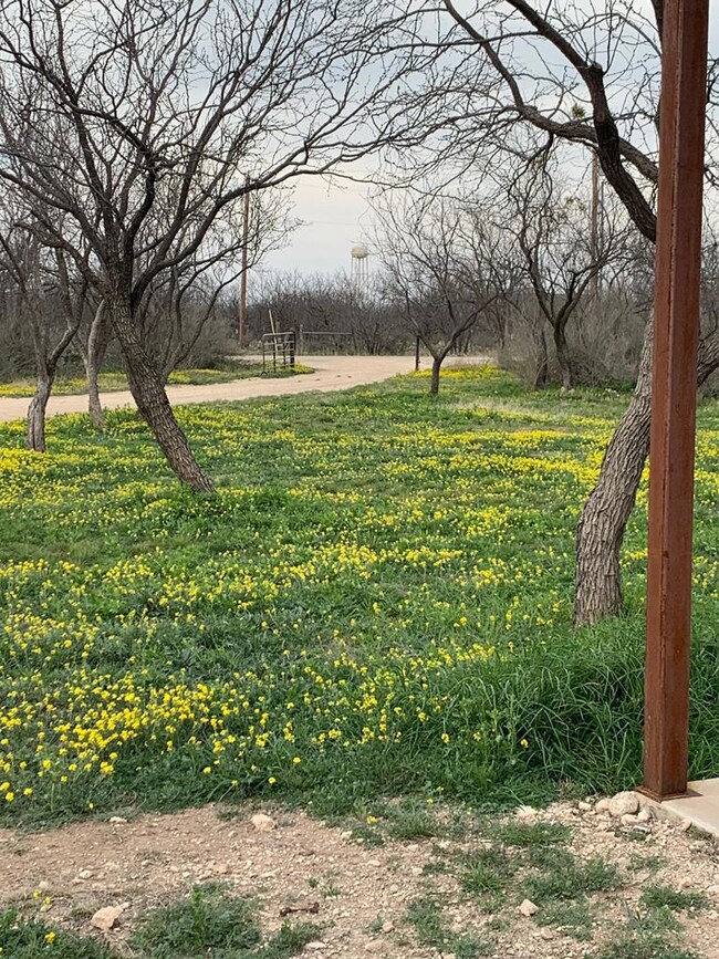 12977 Dove Creek Ln W unit 10.1, San Angelo, TX 76904 - photo 4