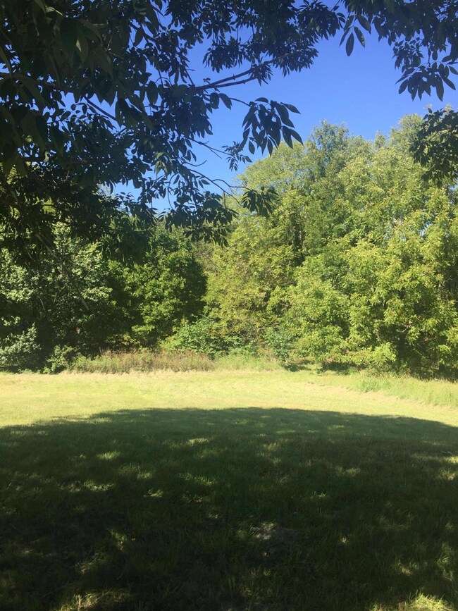 302 Cheyenne Rd, Nixa, MO 65714 - photo 3