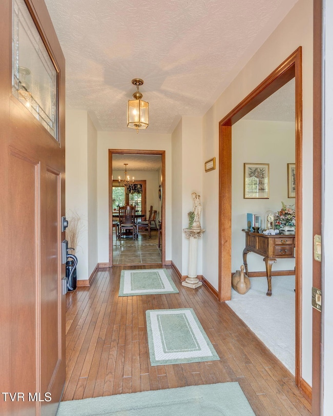 137 River Rd, Johnson City, TN 37601 - photo 4