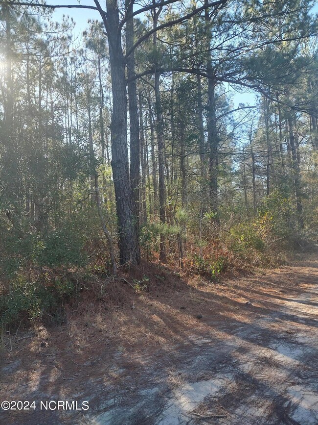 0 Irvine Trail NE, Winnabow, NC 28451 - photo 4