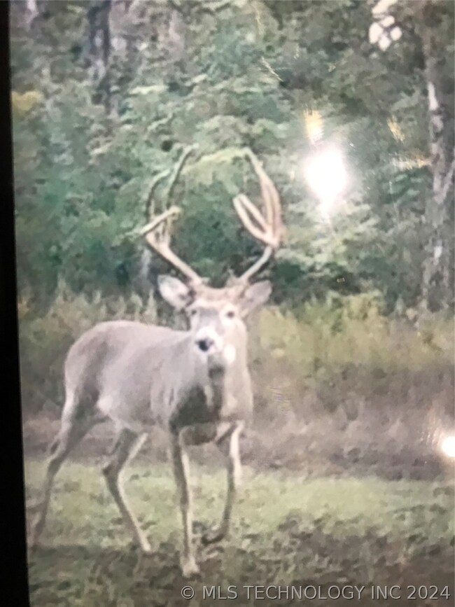 107 N Lewis Ave, Sperry, OK 74073 - photo 3