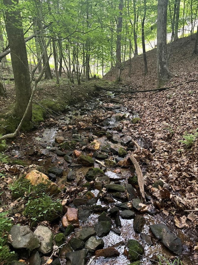 0 Walker Dr unit 416599, Morganton, GA 30560 - photo 3