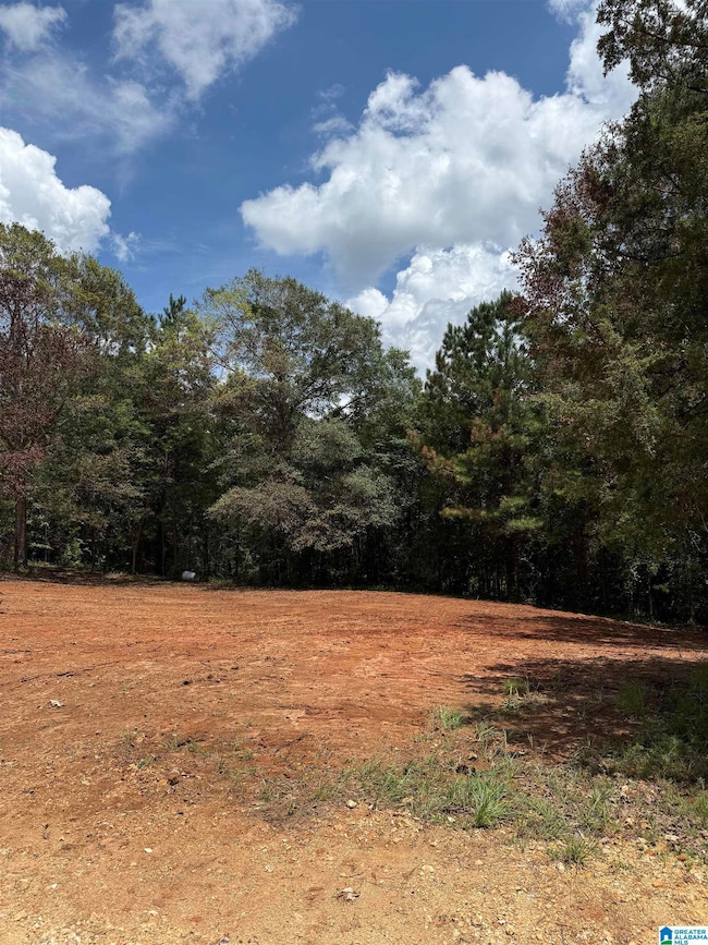 2718 Old Woodstock Rd, West Blocton, AL 35184 - photo 2
