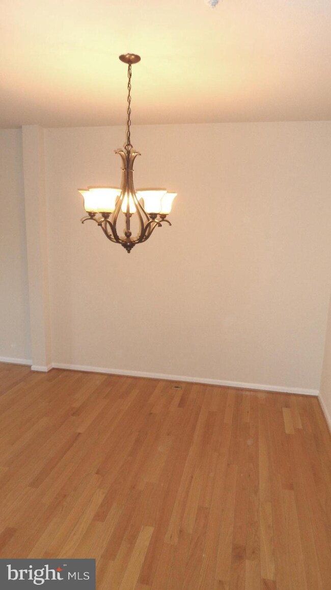 20812 Ireland Ct, Germantown, MD 20874 - photo 5