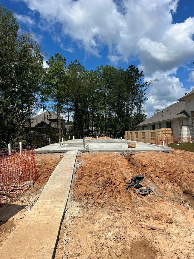 17346 Merlot Skies St, Woodloch, TX 77302 - photo 2