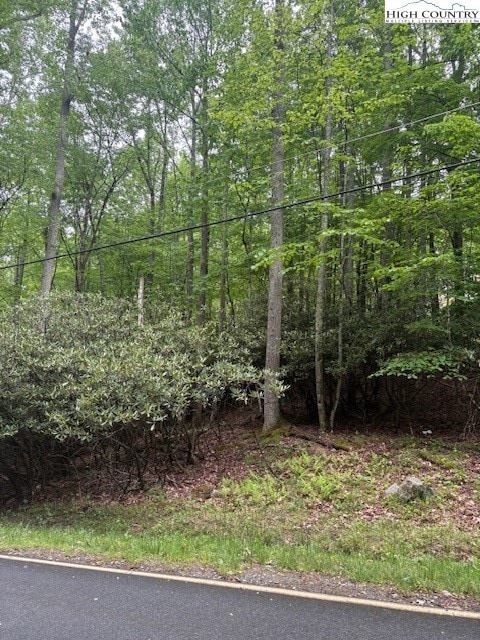 522 St Andrews Rd, Beech Mountain, NC 28604 - photo 7