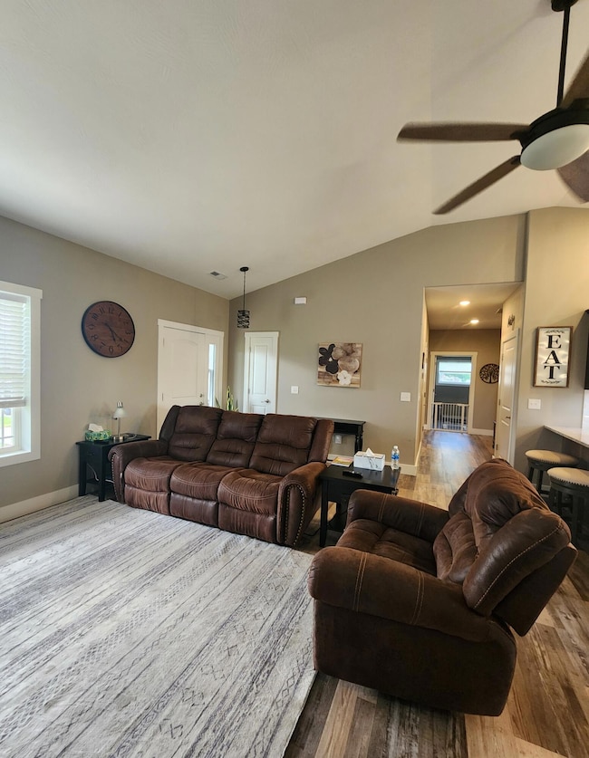 Liv Rm Vaulted ceiling
