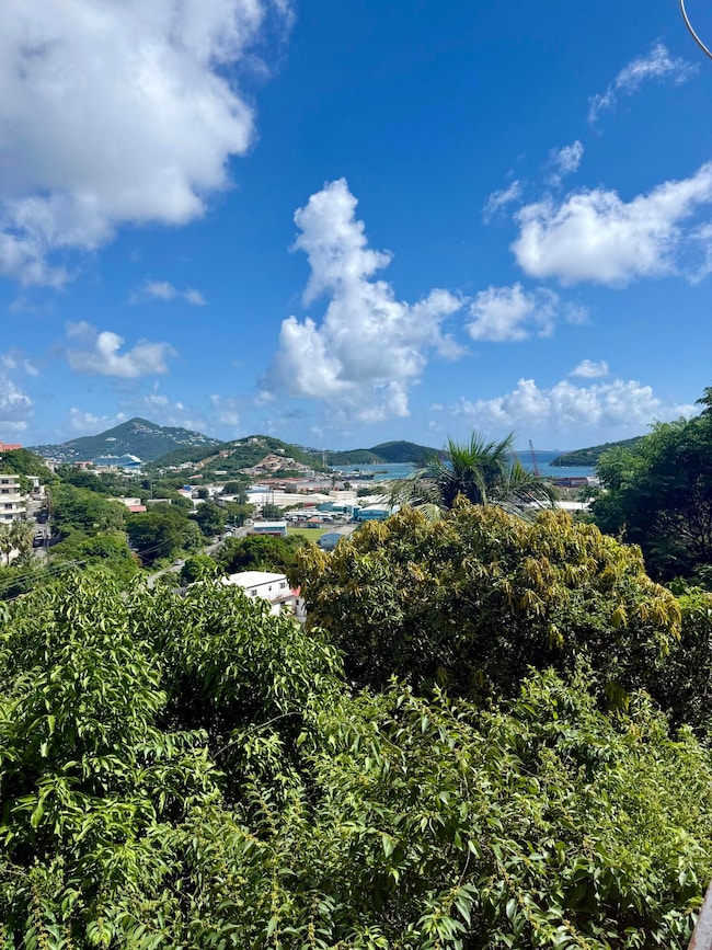 9-11 Contant Ss, St. Thomas, VI 00802 - photo 6