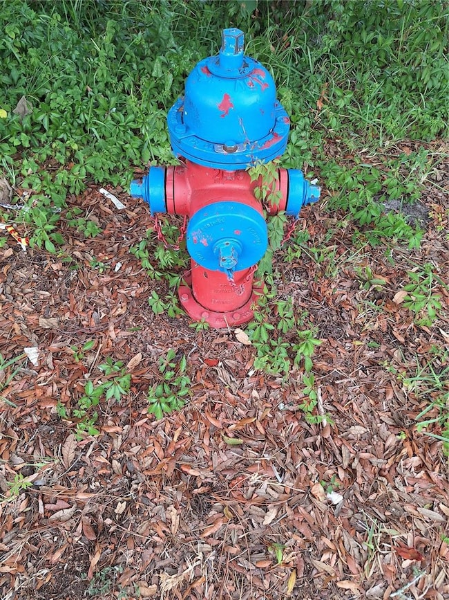 67 NW 21st St, Ocala, FL 34475 - photo 7