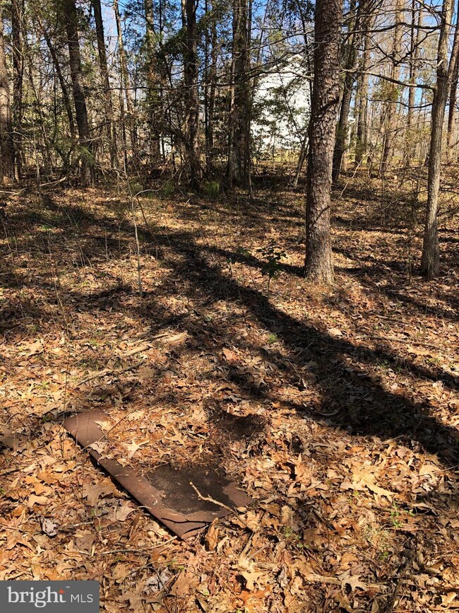 4910 Greenbranch St, Partlow, VA 22534 - photo 2