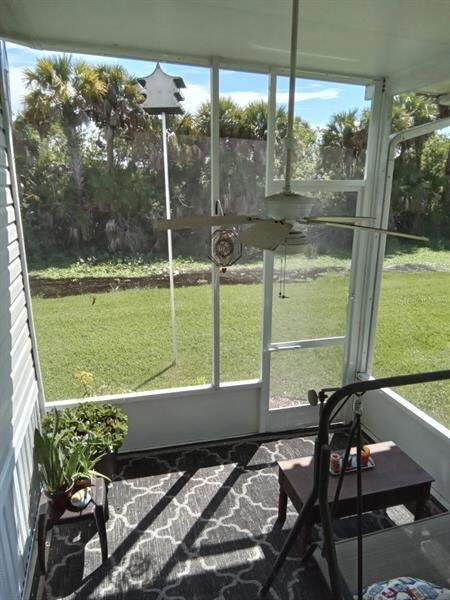 View of birds 