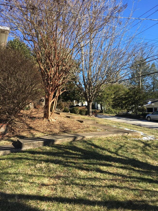 Side yard