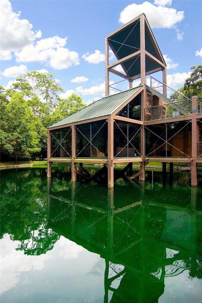 223 Litchfield Ln, Houston, TX 77024 - photo 2