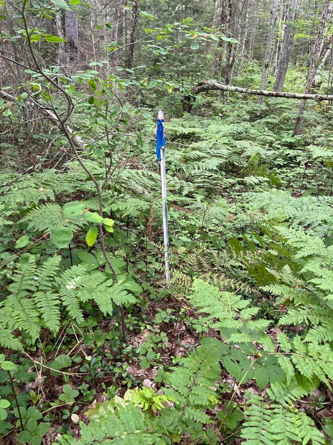 3 lots W River Rd unit 3 lots, Garfield Township, MI 49762 - photo 2