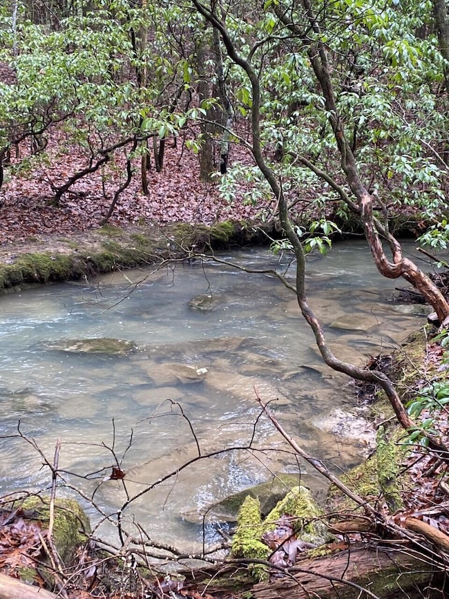 Lot 10 Thomas Springs Rd, Crossville, TN 38572 - photo 4