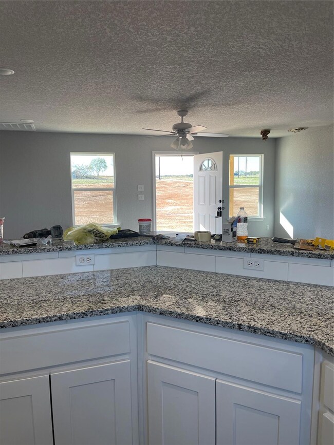 961 Erwin Rd, Poolville, TX 76487 - photo 7