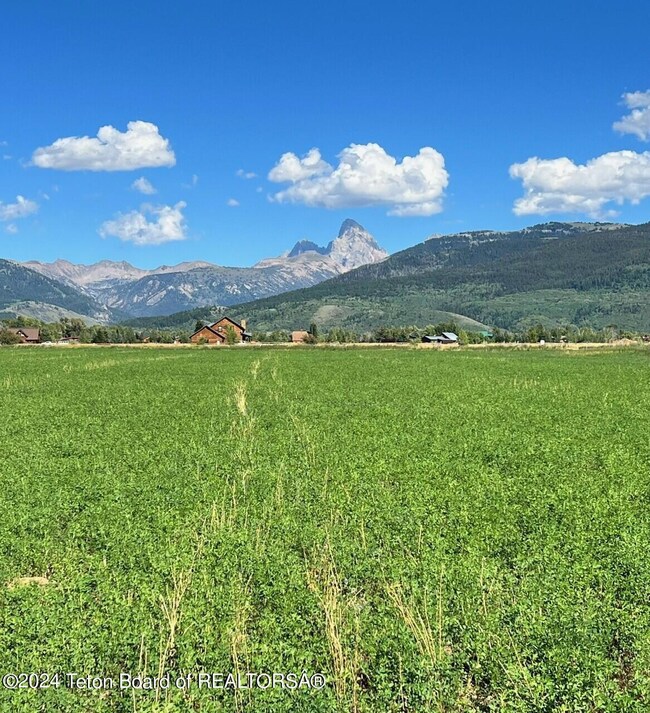 Grand Teton View