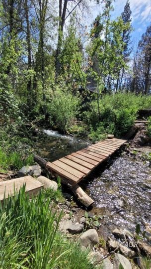 1640 Summit Creek Rd, Hayfork, CA 96041 - photo 4