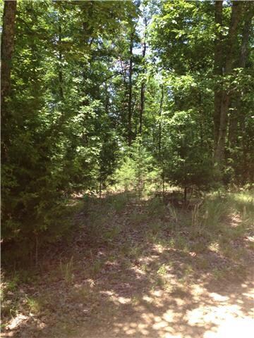 0 Mill Hollow Rd unit RTC1458621, Linden, TN 37096 - photo 3