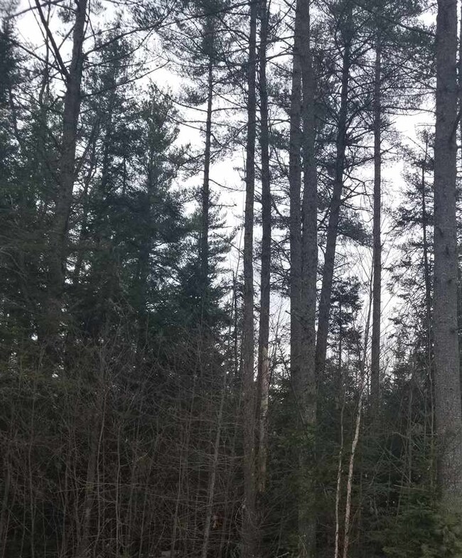 00 Colby Rd, Whitefield, NH 03598 - photo 2