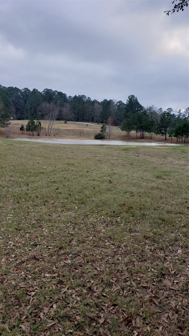 141 N Forest Dr, Huntsville, TX 77340 - photo 6