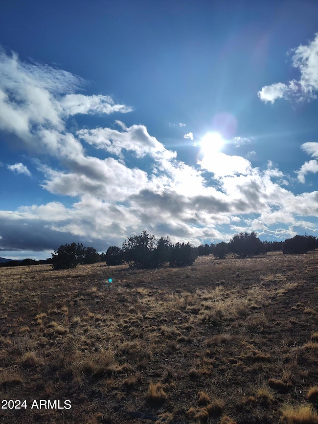 000000 Bullock Rd unit 53, Ash Fork, AZ 86320 - photo 3