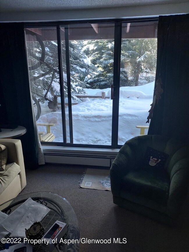 1313 Vine St unit 1313, Aspen, CO 81611 - photo 2