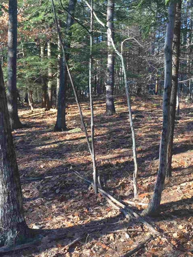 lot 2 Long Island Rd, Moultonborough, NH 03254 - photo 7