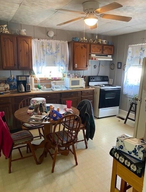 314 Seminary Ave, Augusta, KY 41002 - photo 4