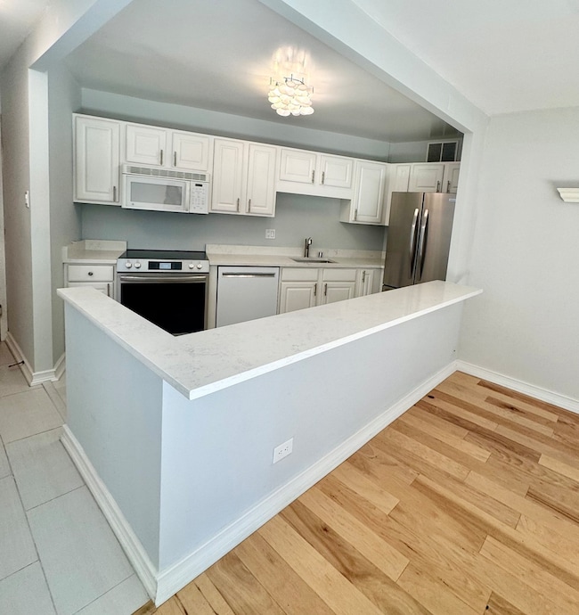 Grand Ohio Condominiums unit 1215, Chicago, IL 60611 - photo 4