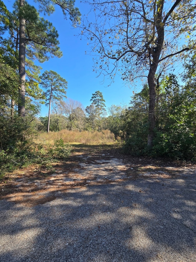 10287 Wanda Ln, Montgomery, TX 77316 - photo 4