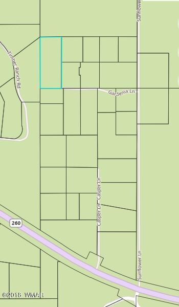 6306 Gardenia Ln, Show Low, AZ 85901 - photo 4