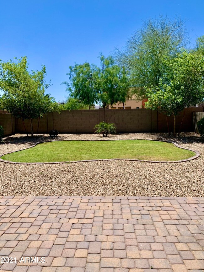 Backyard 2
